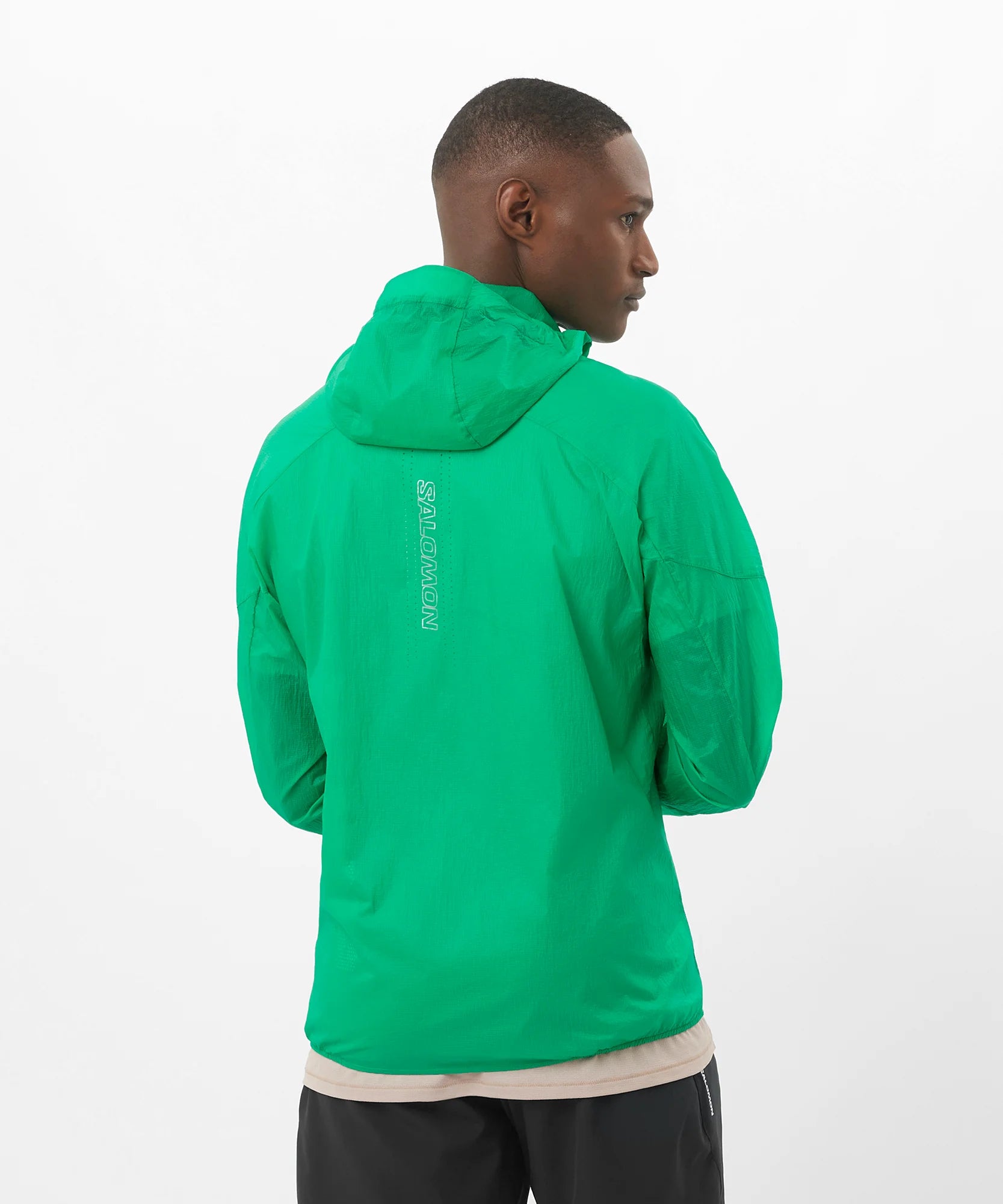 #Color_Verde