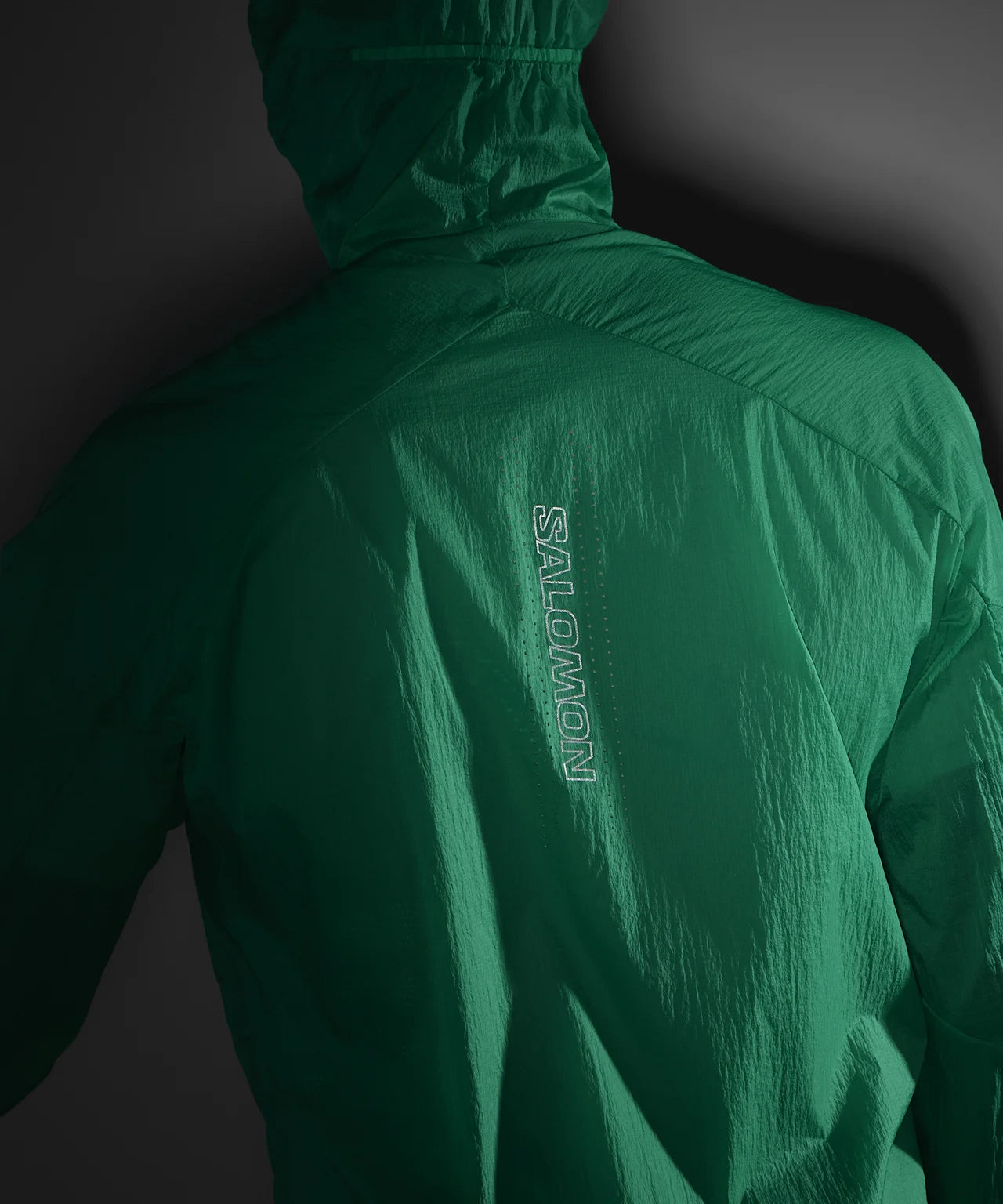 #Color_Verde