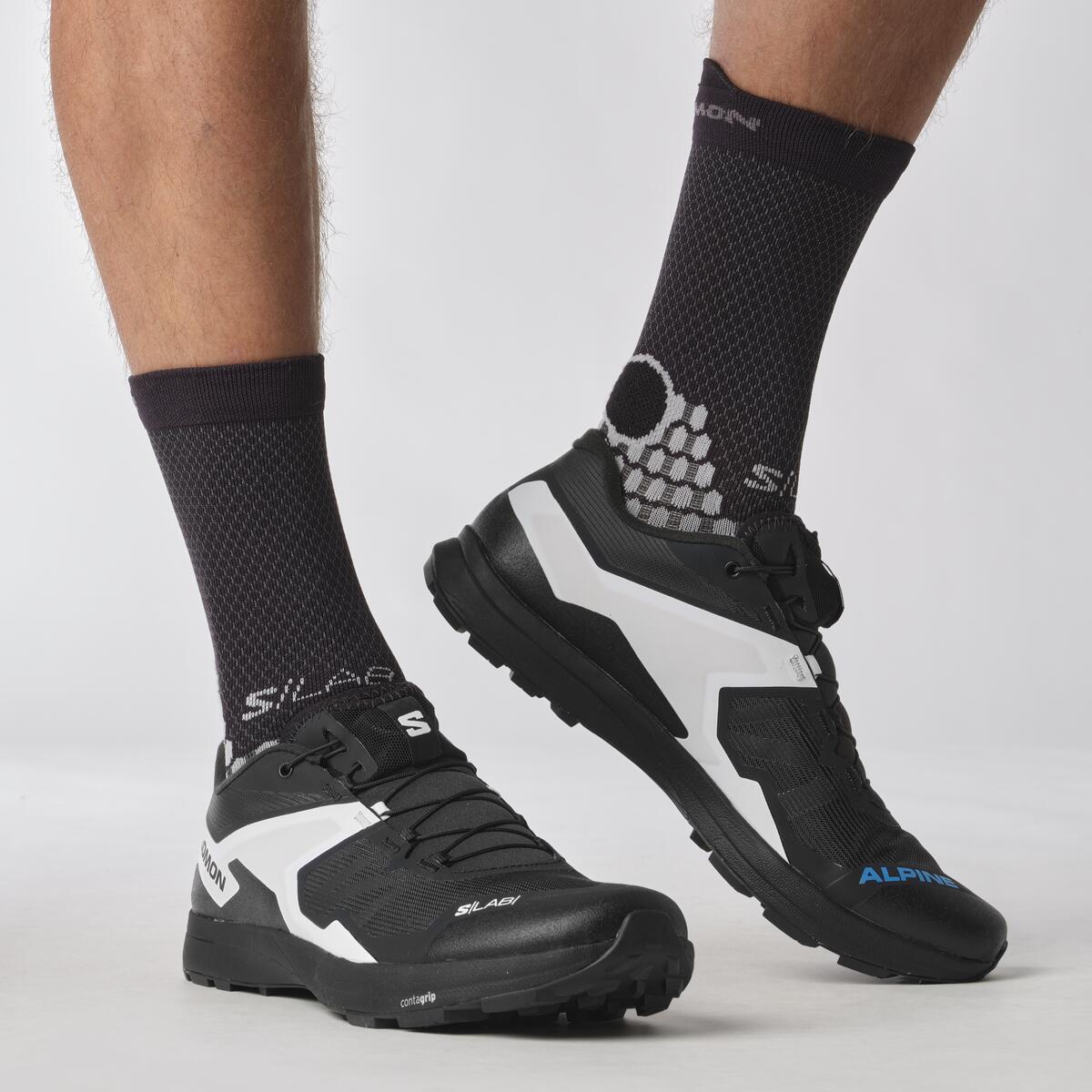 S/Lab Alpine
