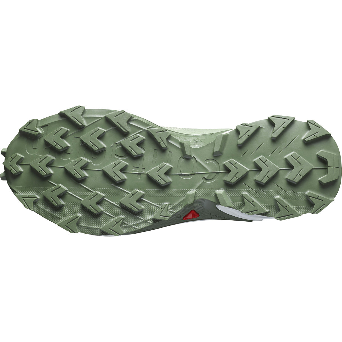 Tenis Alphacross 4 GTX