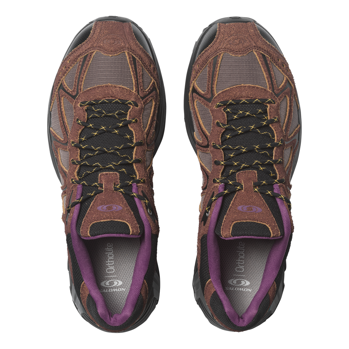 XT-WHISPER EXPEDITION