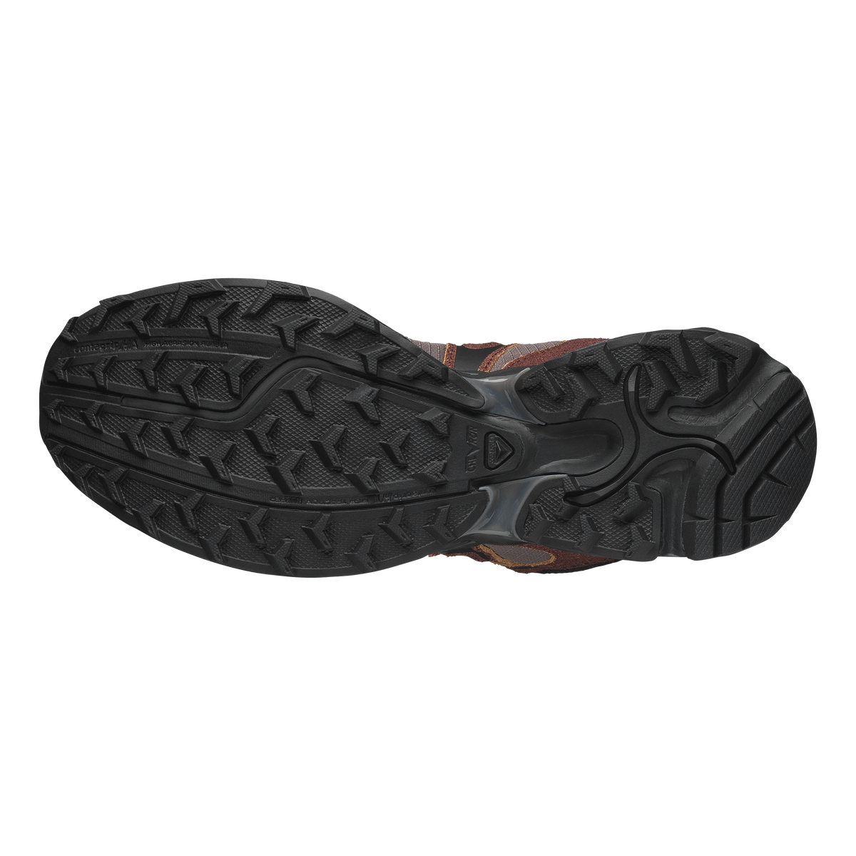 XT-WHISPER EXPEDITION