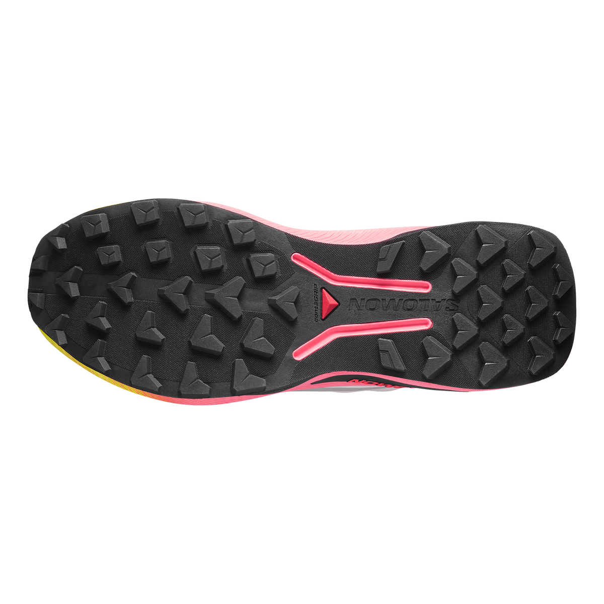 GENESIS 2 GRADIENT