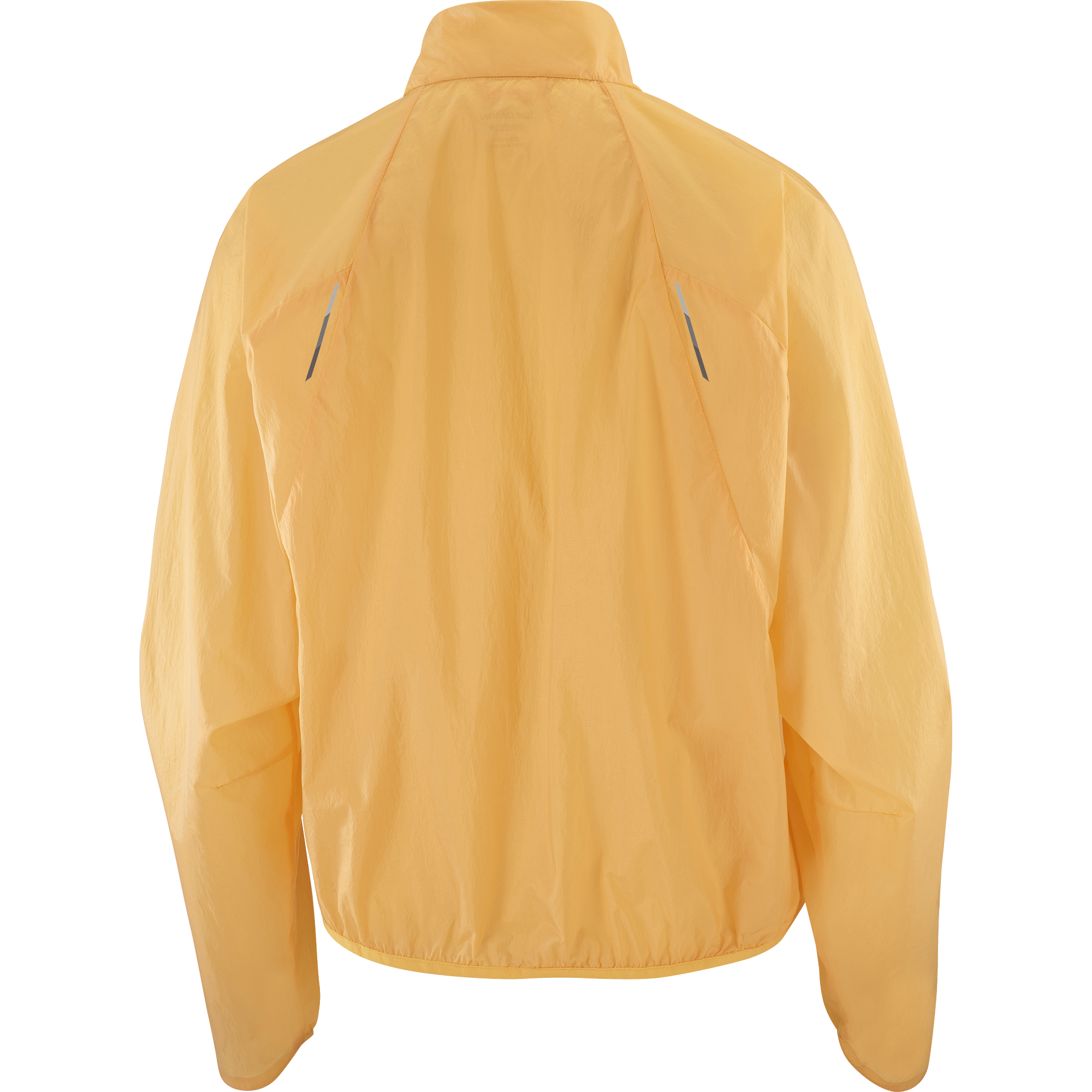 SHAKEout FLY