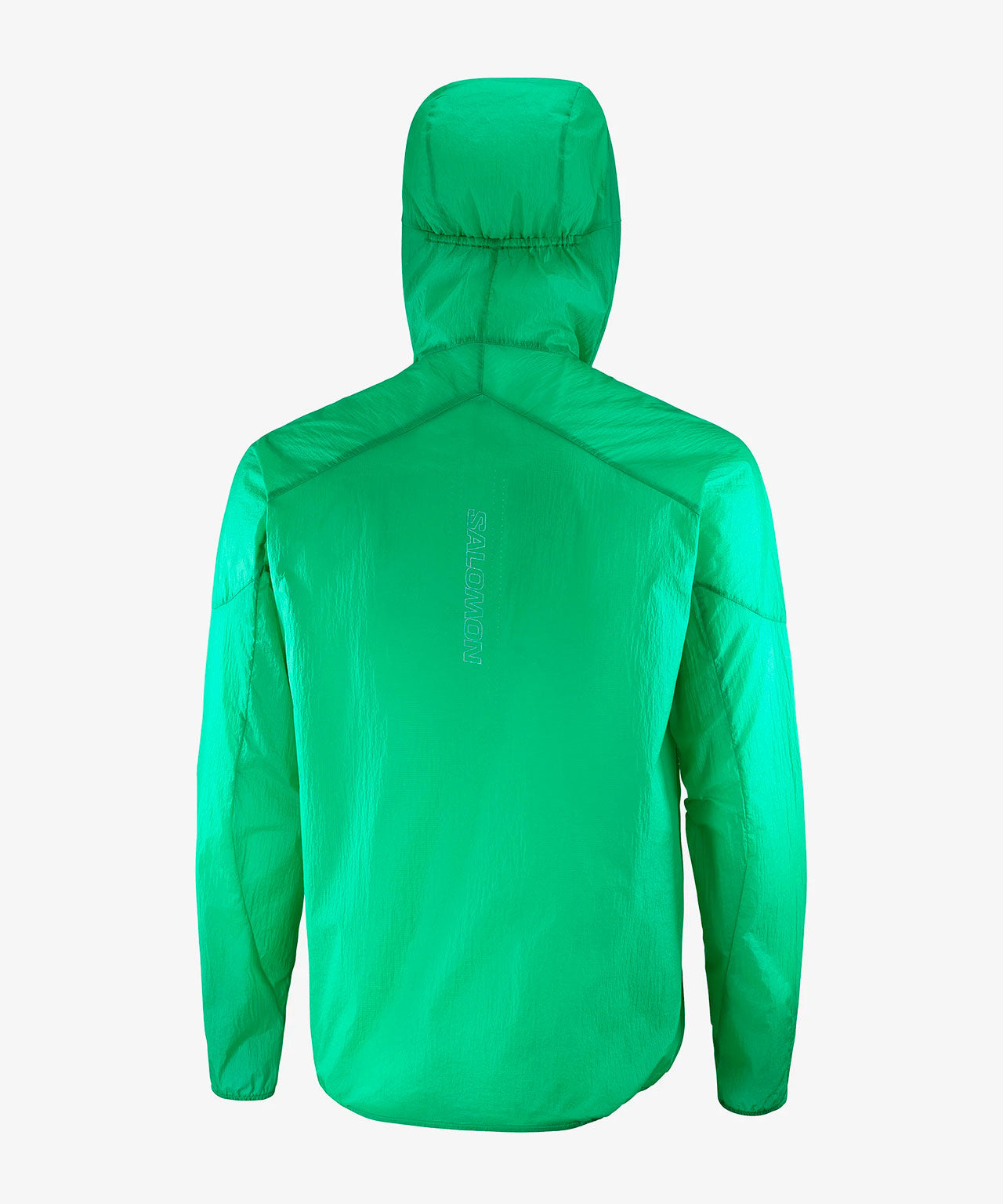 #Color_Verde